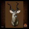 African-Antelope-taxidermy-by-BB-Taxidermy-Houston-044