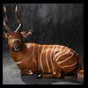 African-Antelope-taxidermy-by-BB-Taxidermy-Houston-341