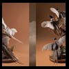 pheasant-quail-taxidermy-002