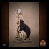bears-taxidermy-031