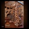 taxidermy-trophy-rooms-008