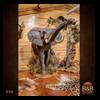 taxidermy-trophy-rooms-058