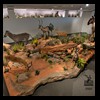 hunting-trophy-rooms-BB-Taxidermy005