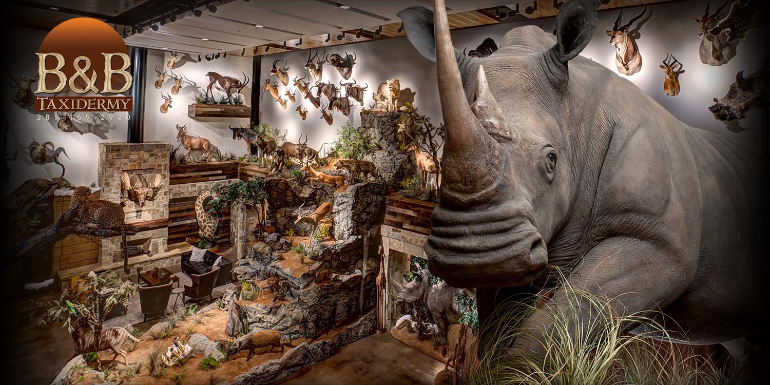 Taxidermy | African | North American | Exotics | Trophy Game Rooms