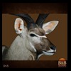 African-Antelope-taxidermy-by-BB-Taxidermy-Houston-045