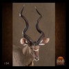 African-Antelope-taxidermy-by-BB-Taxidermy-Houston-154