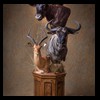 African-Antelope-taxidermy-by-BB-Taxidermy-Houston-276