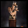 African-Antelope-taxidermy-by-BB-Taxidermy-Houston-312