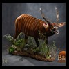 African-Antelope-taxidermy-by-BB-Taxidermy-Houston-328