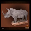 hippo-rhino-croc-taxidermy-001