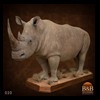 hippo-rhino-croc-taxidermy-020