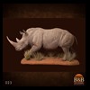 hippo-rhino-croc-taxidermy-023
