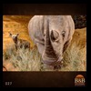 hippo-rhino-croc-taxidermy-027