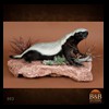 african-misc-taxidermy-003