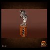 zebra-taxidermy-005