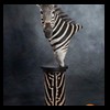zebra-taxidermy-038