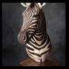 zebra-taxidermy-046