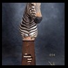 zebra-taxidermy-054
