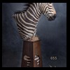 zebra-taxidermy-055