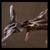 ducks-taxidermy-102