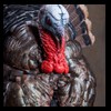 turkeys-taxidermy-017