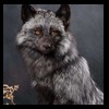 raccoondog-silverfox-lynx-reindeer-marten-taxidermy-005