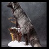raccoondog-silverfox-lynx-reindeer-marten-taxidermy-009