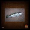 fish-taxidermy-002