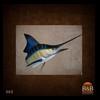 fish-taxidermy-005