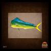 fish-taxidermy-007