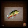 fish-taxidermy-015
