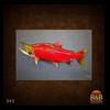 fish-taxidermy-042