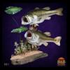 fish-taxidermy-051