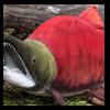 fish-taxidermy-059