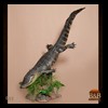 alligators-taxidermy-005