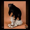 bears-taxidermy-009
