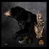 bears-taxidermy-076