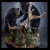 bears-taxidermy-083