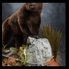 bears-taxidermy-090