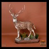 elk-moose-caribou-taxidermy-006