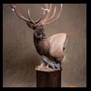elk-moose-caribou-taxidermy-019