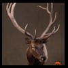 elk-moose-caribou-taxidermy-024