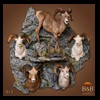 goat-sheep-bovine-bison-north-american-taxidermy-013