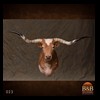 goat-sheep-bovine-bison-north-american-taxidermy-023