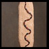 north-american-small-varmit-snakes-taxidermy042