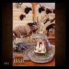 taxidermy-trophy-rooms-005
