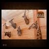 taxidermy-trophy-rooms-012