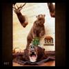 taxidermy-trophy-rooms-027