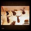 taxidermy-trophy-rooms-028