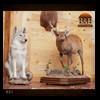 taxidermy-trophy-rooms-030